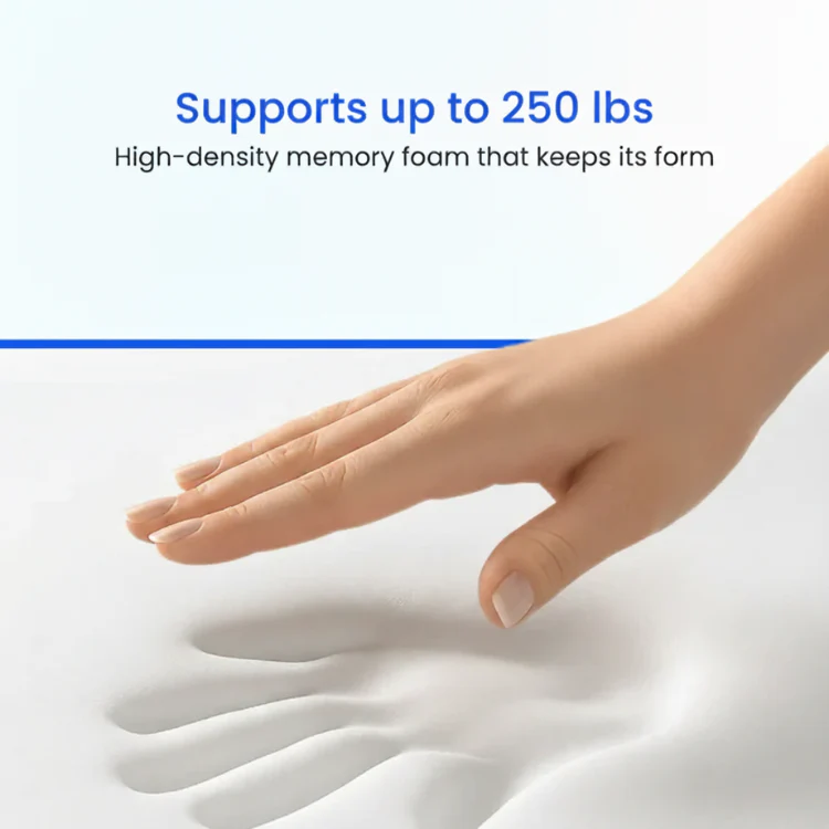 Thelatterly+ Seat Cushion