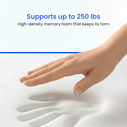 Thelatterly+ Seat Cushion