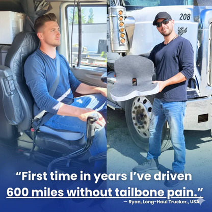 Thelatterly+ Seat Cushion